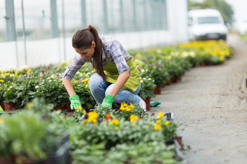 A woman wearing a blue checkered shirt, yellow apron, and green gardening gloves is kneeling on a gravel path beside a row of potted flowering plants in a greenhouse or nursery. She is actively tending to the plants, which display vibrant yellow and purple blooms with green foliage. The garden area features neatly arranged flower beds with dense, healthy greenery, set against a backdrop of glass walls allowing natural light to fill the space. The surrounding environment appears well-maintained, indicating professional gardening or landscaping activities typical of a garden centre or commercial nursery in Bayswater. The gravel pathway and orderly plant arrangement highlight a structured outdoor or greenhouse setting dedicated to plant cultivation and sustainable gardening practices, supported by local landscaping services offered by companies like Landscapers Bayswater.