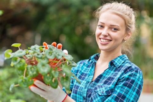 Accessibility support for Landscapers Bayswater website users