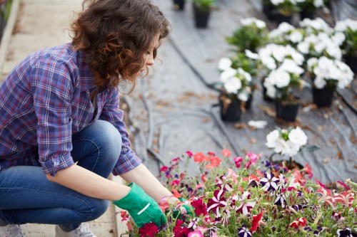 A professional gardener kneels on a paved outdoor area of a landscaped garden in Bayswater, wearing green gardening gloves and a plaid shirt, carefully planting and tending to a vibrant bed of mixed flowering plants that include pink and purple blooms. In the background, several potted plants and flowers are arranged on black plastic sheeting, with additional flower beds and small shrubs visible further along the garden space. The garden features a well-maintained lawn area with dense, green grass, bordered by flower beds and natural soil sections. Wooden garden edging and paving stones create a clear separation between the lawn and planting areas, emphasizing a neatly organized layout. The scene is set outdoors under natural daylight, with a softly overcast sky providing even lighting, suitable for detailed gardening work. This image highlights the meticulous planting and landscaping efforts typical of professional outdoor garden maintenance, aligning with services offered by Landscapers Bayswater in the local area of Westminster, and underscores their expertise in garden design, planting, and garden care services.