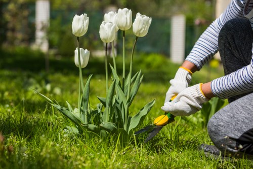 Landscaping team reviewing ethical labour practices in Bayswater