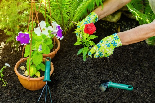 A gardener wearing colorful gloves is planting a red and green flowering plant into dark, rich soil within a landscaped garden. The scene shows a neatly maintained front or back garden area with potted plants, including hanging pots with purple and white flowers, and lush green foliage in the background. A small hand rake and pruning shears are placed on the ground nearby, indicating ongoing gardening or planting activities. The garden is well-organized, with a variety of plants and shrubs, and features a combination of decorative flower pots and natural greenery, highlighting typical a landscaping and gardening environment in Bayswater or nearby areas. The weather appears to be bright with natural lighting, suitable for outdoor gardening work, reflecting a professional approach by Landscapers Bayswater in garden maintenance and landscaping tasks.