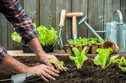 Garden waste and rubbish removal pricing in Bayswater