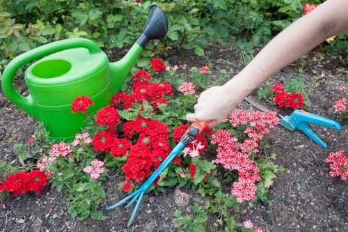 Professional lawn mowing service in Bayswater