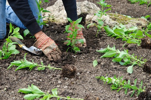 Professional landscapers in Bayswater operating safely with public liability cover