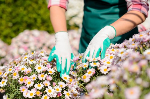 Assessment of landscaping quality and cleanup issue