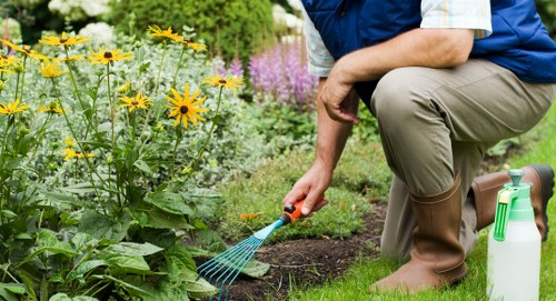 A gardener kneeling on a well-maintained lawn in a residential garden during daytime, shown watering a flower bed with a small garden rake in hand. The flower bed behind features a variety of blooming plants with yellow, pink, and purple flowers, edged by a neat border of soil and mulch. To the right, a hose with a green spray nozzle is visible, resting on the grass. The background includes a lush hedge and trees, creating a lush outdoor environment typical of gardens in the Bayswater area. The scene highlights detailed landscaping work and plant care, emphasizing healthy, vibrant foliage and thoughtful garden layout, suitable for professional gardening and landscaping services offered by Landscapers Bayswater.