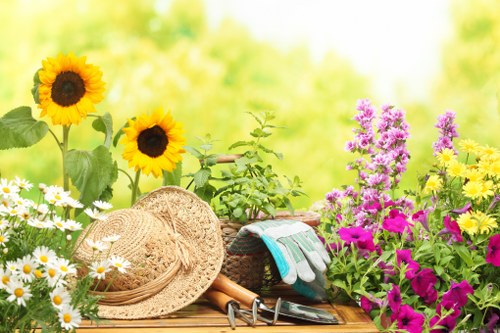 A vibrant garden scene featuring a variety of flowering plants and gardening tools arranged on a wooden surface. Prominent in the image are tall sunflowers with large yellow blooms and dark centers, surrounded by clusters of daisies with white petals and yellow centers, alongside a dense display of pink, purple, and yellow flowers, creating a colorful and lively outdoor environment. The background is softly blurred with lush green foliage, suggesting a well-maintained outdoor space, possibly a front or back garden in Bayswater. In the foreground, gardening tools such as a straw hat, garden gloves, pruning shears, and a small shovel are visible, indicating ongoing or recent gardening activities. The natural lighting highlights the vivid colors of the flowers and greenery, emphasizing a fresh, healthy garden setting that benefits from landscaping and gardening expertise provided by companies like Landscapers Bayswater.