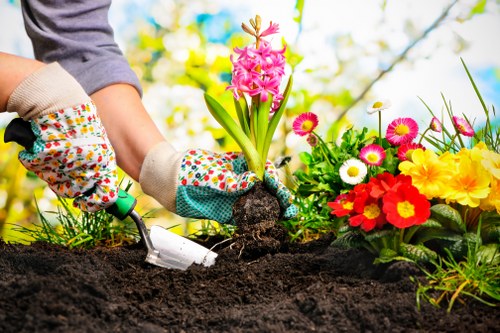 A gardener's hands, wearing colorful gardening gloves, are shown planting a pink hyacinth bulb into dark, freshly turned soil in a well-maintained garden. To the right, there is a vibrant flower bed with a variety of brightly colored flowers, including red, yellow, white, and pink blooms, creating a lively contrast with the rich soil and green foliage. The background features a blurred garden scene with lush green plants and a partly cloudy sky, indicating a bright, sunny day ideal for outdoor gardening. The scene emphasizes the process of planting and nurturing new plants, reflecting professional gardening and landscaping services in Bayswater, with a focus on garden planting and flower bed creation.