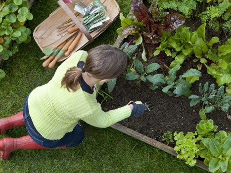 Budget-friendly landscaping ideas with native plants