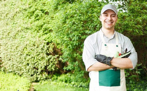 Seasonal lawn care tips for Bayswater