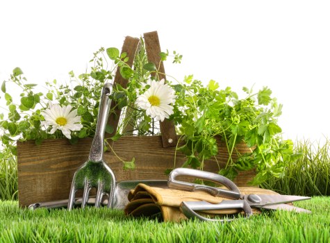 Professionally designed garden layout in Bayswater