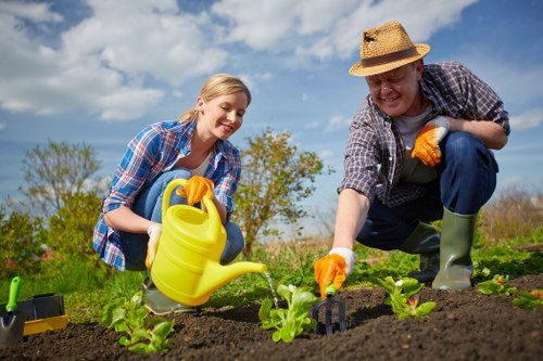 Selection of drought-resistant plants suitable for Bayswater gardens