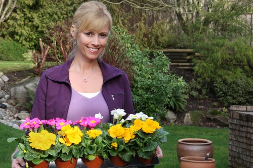Effective weed control methods being applied in a Bayswater garden