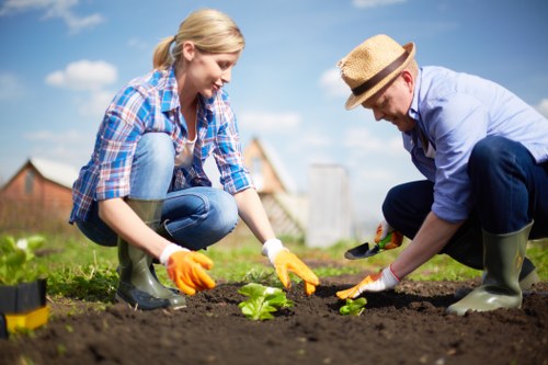 Eco-friendly and modern landscaping trends in Bayswater