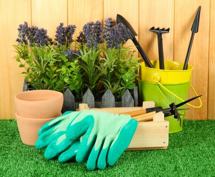 The image shows a neatly organized outdoor gardening workspace with a row of lavender plants in dark containers positioned at the back, providing visual interest with their purple flowers and green foliage. In front of the plants, there are two unglazed terracotta pots stacked together, ready for planting. A pair of turquoise gardening gloves rests on a light wooden tray, indicating recent or ongoing gardening activity. To the right, a bright yellow plastic bucket holds several garden tools, including a hand trowel and a small hand rake, positioned upright for easy access. The workspace is set on a lush, well-maintained green lawn, which forms a clean, natural base for gardening tasks. The background features a warm-toned wooden fence, contributing to a cozy and inviting outdoor environment. The scene is well-lit with natural daylight, suggesting a clear, mild weather day, suitable for gardening or outdoor maintenance work, aligning with professional gardening services offered by landscapersbayswater.co.uk in Bayswater. This detailed setup reflects a typical gardening area prepared for planting, pruning, and general garden care activities within a landscaped yard or backyard garden space.