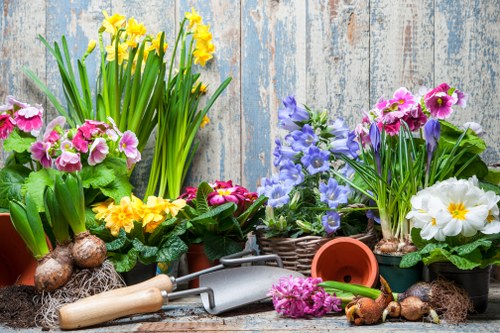 Cookie types supporting landscaping website functionality and insights